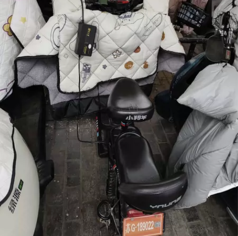 【出】小羚羊电动车 质量还很好 自用保护的...