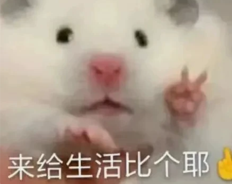 教乐理,听音,练耳,声乐(美声.民族.流行...