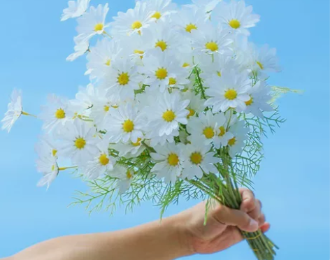 洋甘菊小雏菊仿真花假花摆件客厅装饰品塑料花...