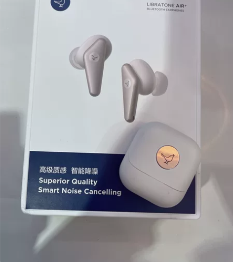 小鸟二代白色，充电仓进水了，目前只有右单元...