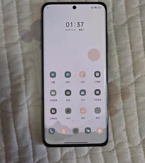 小米12x 12+256黑色，带充电器，箱...