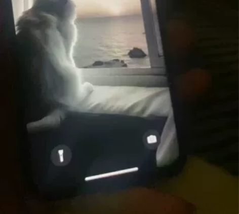 苹果x换过屏幕其他原装 感兴趣的话点“我想...