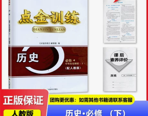 2024春 适用于人教版 点金训练 高中历...