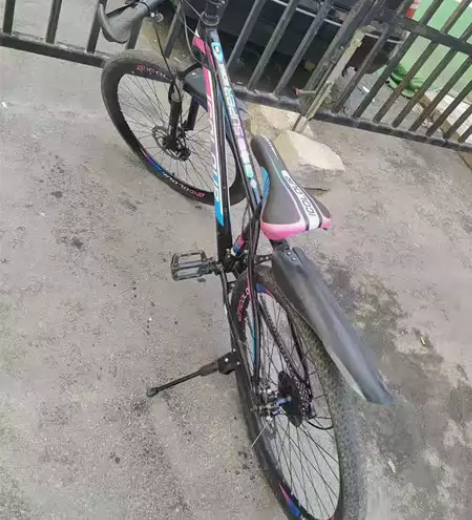 山地自行车，21速26寸，icolour，...