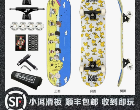 小洱滑板初学者新手DBH史努比TREFLI...