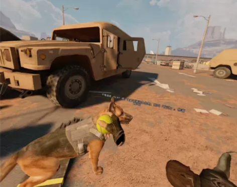 【账号租借】Pico正版游戏亚利桑那阳光2...