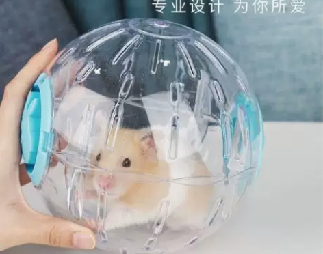 仓鼠跑球滚球跑步球透明跑步机玩具滚轮运动球...