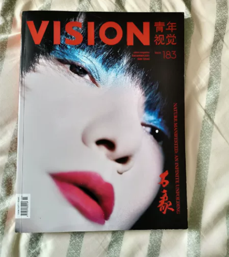 Vision青年视觉杂志 第183期，几乎...