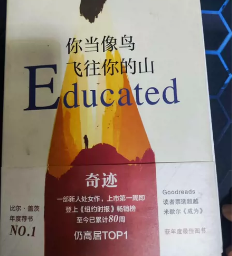 《你当像鸟飞往你的山》 比尔盖茨年度荐书N...