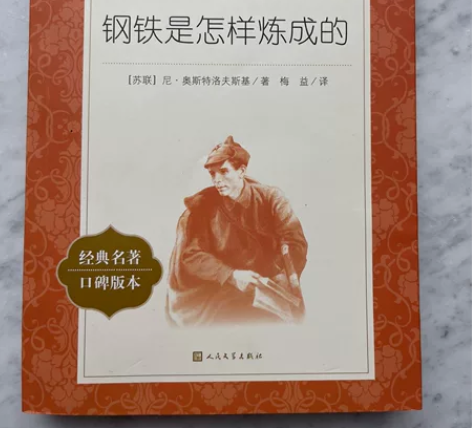 《钢铁是怎样炼成的》教育部统编初中语文教材...