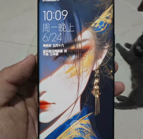 ?小米13Pro   陶瓷黑   8+25...