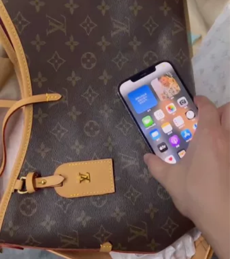 小号 carryall 祖国版 带芯片...