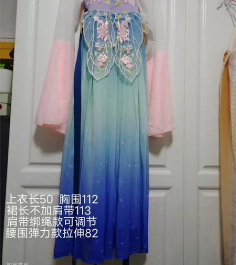两件套套装 肩带胸部腰头刺绣   图片可看...