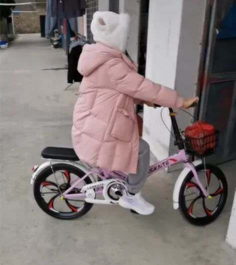 转卖，闲置折叠自行车，如图。莱斯凯特品牌，...