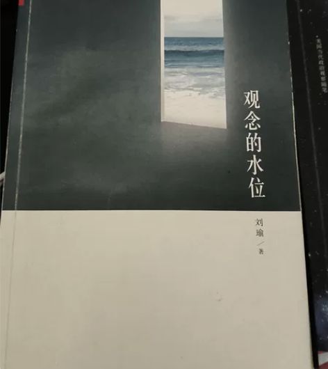 旅美学者刘瑜     第三只眼睛看世界  ...