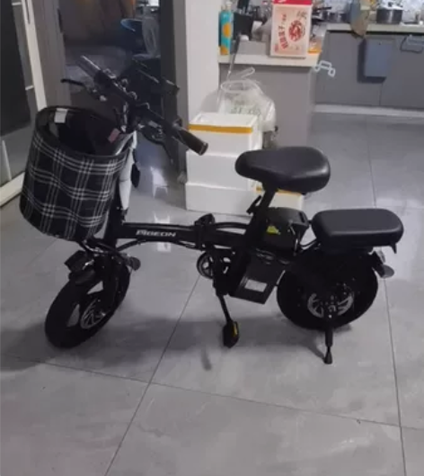 折叠电动车,名牌飞鸽,2024年6月生产,...