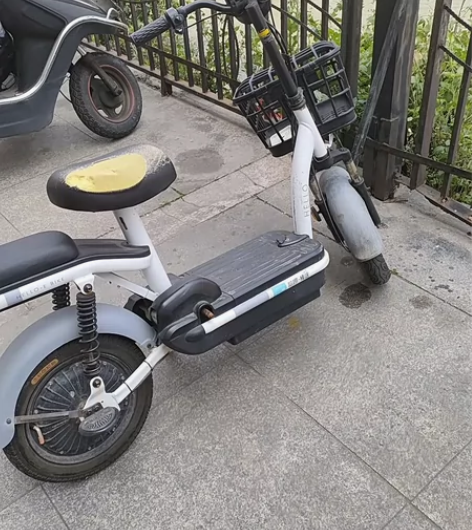 哈啰棒途哈罗电瓶车，48伏锂电池，20Ah...