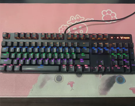 雷柏青轴键盘，型号V500PRO，按键全触...