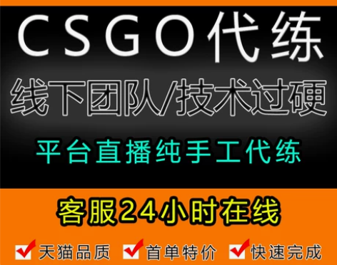 CSGO代练完美5E天梯上分定级赛等级胜