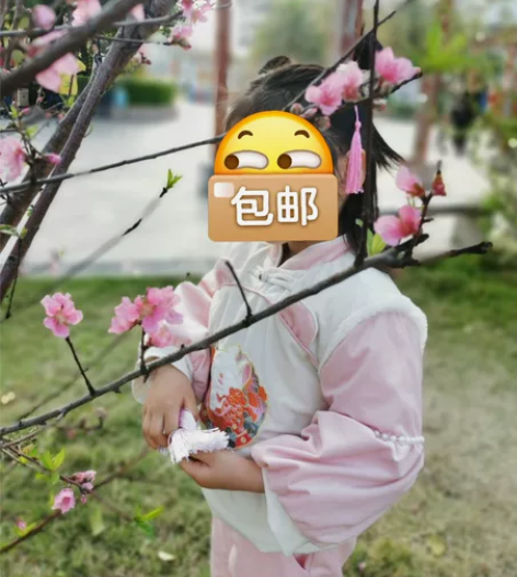 女童冬装新年套装，拜年服，古风汉服 加绒加...