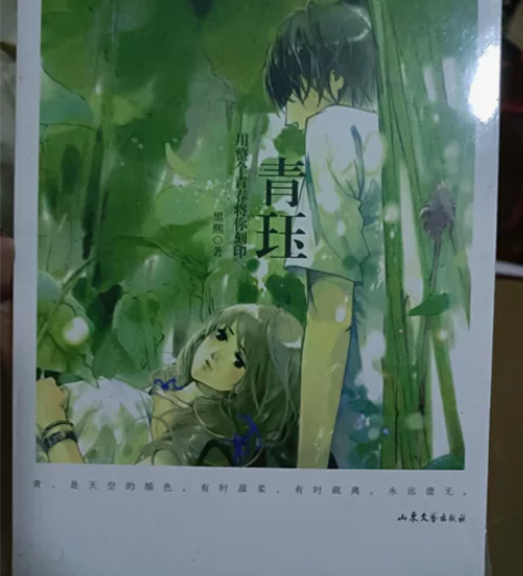 全新青珏小说青春文学图书书籍青珏 感兴趣的...