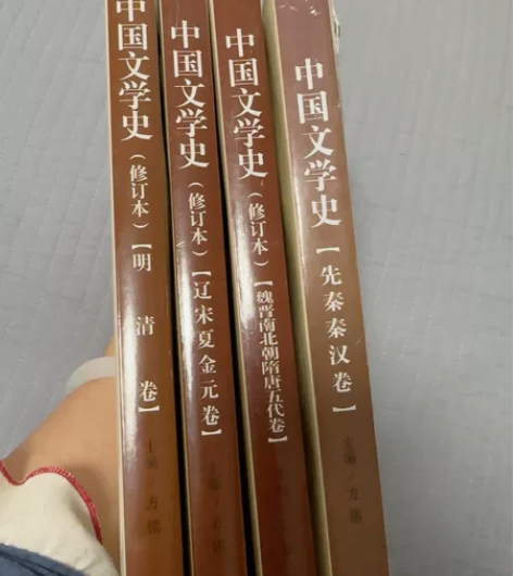 24考研党闲置，方铭主编《中国文学史》全四...