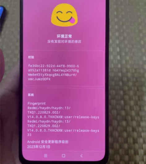 红米k40pro已ROOT面具8+256过...