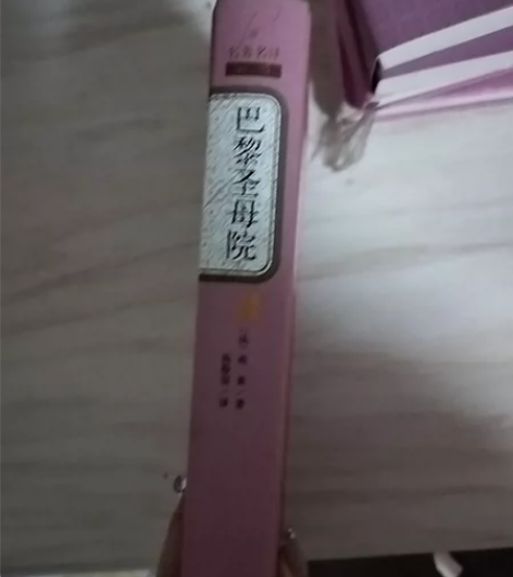 巴黎圣母院 感兴趣的话点“我想要”和我私聊...