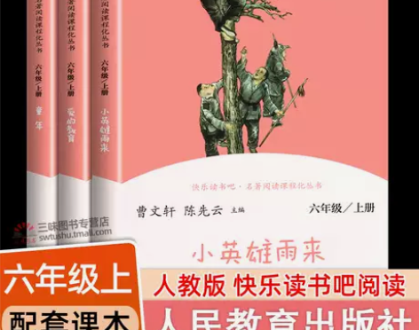 人教版快乐读书吧六年级上册全套3册 小英雄...