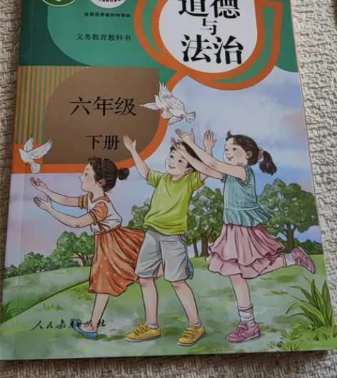 道德与法治六年级下册人教版义务教育教科书教...