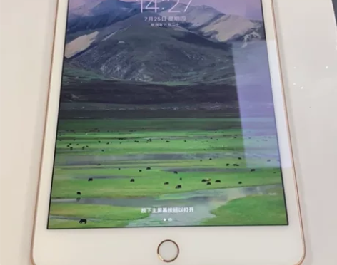 ?95新苹果 iPad mini5 (20...