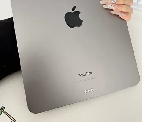 自用的ipad mini5 256G 插卡...