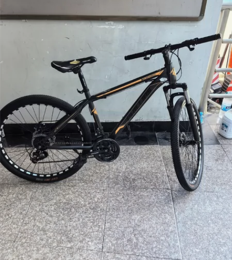 PHILLIPS菲利普山地自行车   成人...