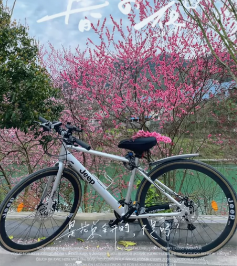 出个人公路自行车 几乎全新，买来骑过没超过...