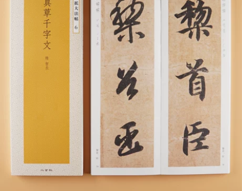 日本原版 二玄社字帖 精选扩大法帖6 真草...
