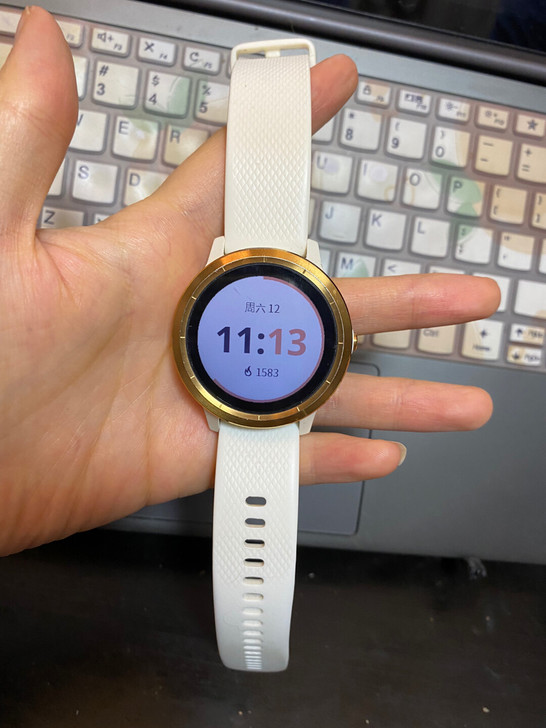 佳明(GARMIN)智能手表 VA3 玫瑰...
