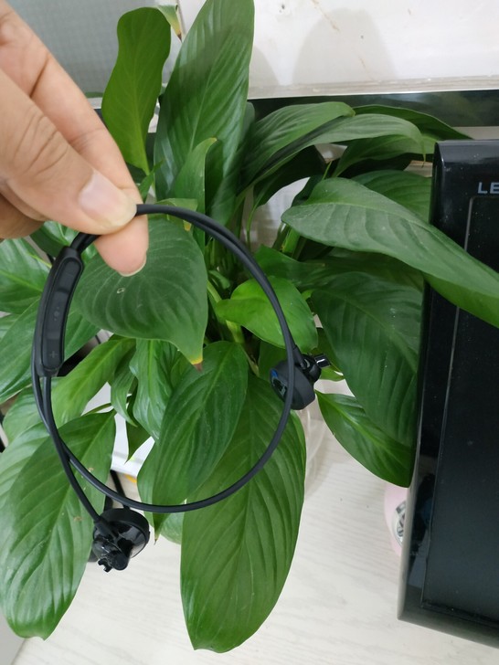 重低音首选耳机：BoseSoundSpor...