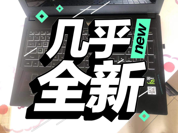 雷神(ThundeRobot) 新911黑...