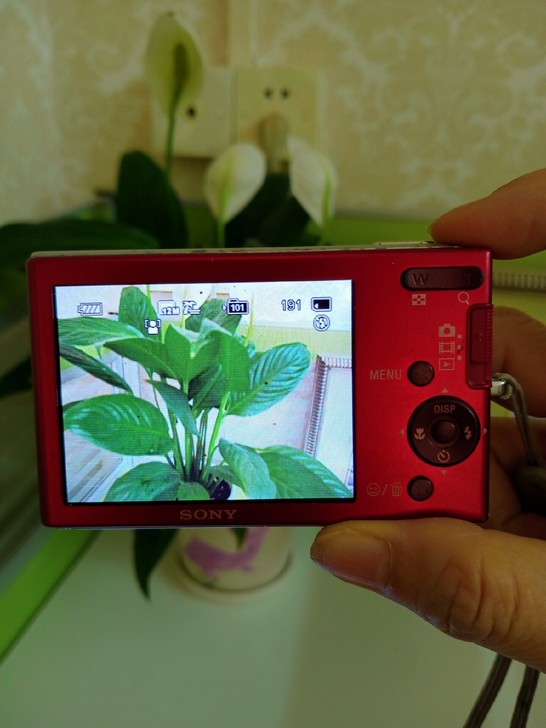 索尼数码相机W190