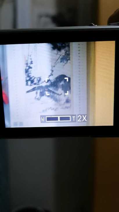 德国徕卡leica c lux1数码ccd...