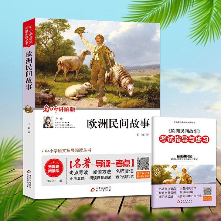 欧洲民间故事(名师讲解版)小学语文五年级上册
