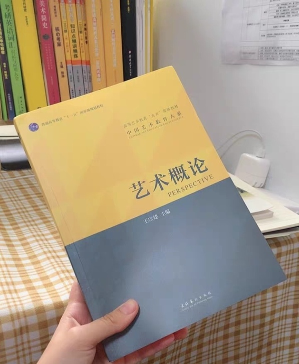 艺术概论王宏建文化艺术出版社正版二手非磁带