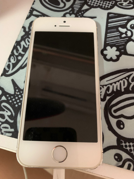 iPhone5S