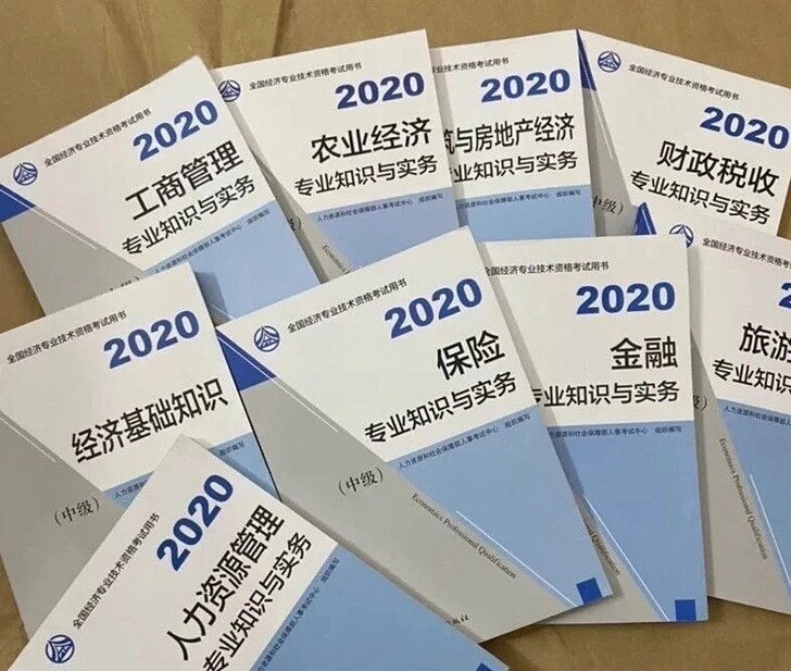 2020中级经济师教材 五大专业人力/工商...