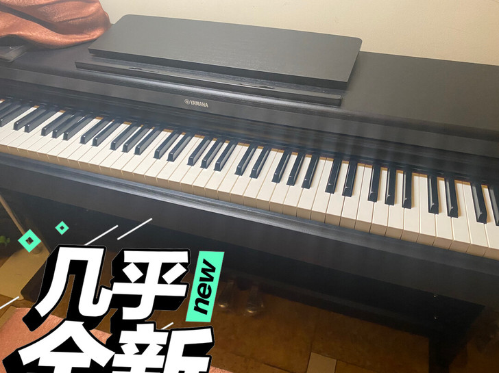 雅马哈电钢YpD-164，无任何维修，9成...