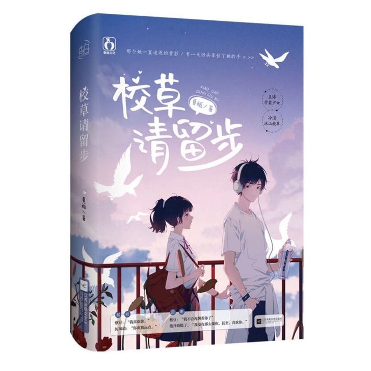 校草请留步 夏栀著 青春校园甜宠言情小说文...