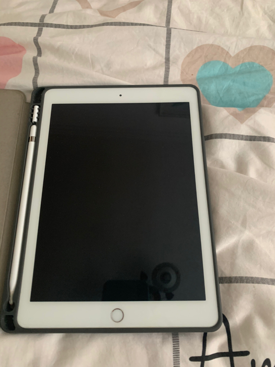 ipad 2018银色 128g 女孩子自用