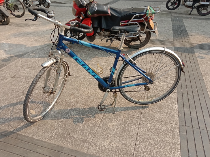 经典捷安特旅行自行车