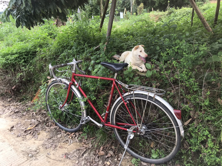 日本二手公路车，旅行车 山口自行车 老车收藏