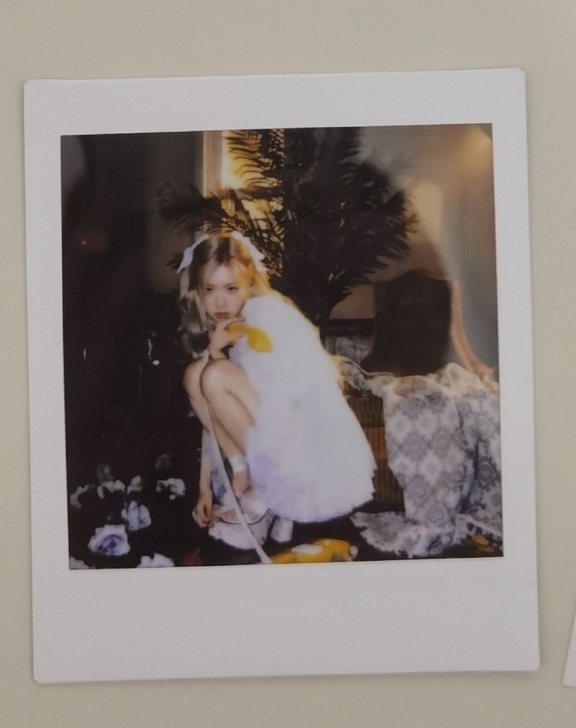 【预出】rolo特第一批预售礼拍立得公主肉...